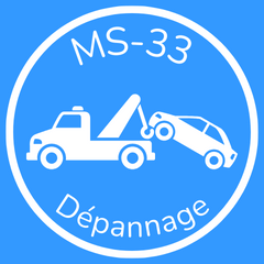 logo ms33 dépannage 3